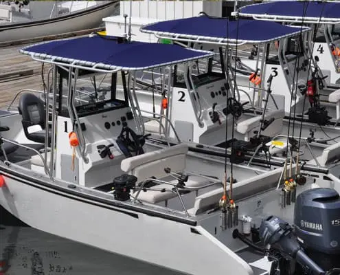 boats-20 Guided and Instructed Fishing Trips