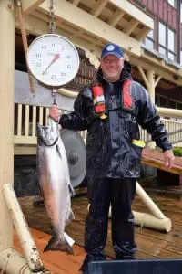 33 pound "Tyee" Chinook 