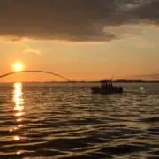 Sunset Fishing Trips