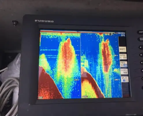 Unknown-7 Sonar Sportfishing British Columbia