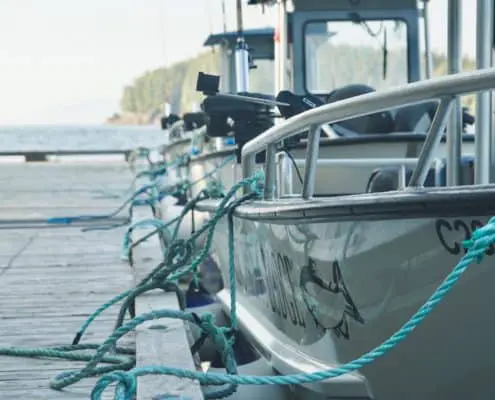 KingPacificLodgeBoatsAtDock Family-Owned Fishing Resort
