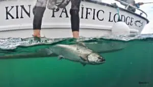 Luxury Fishing Vacation Packages BC