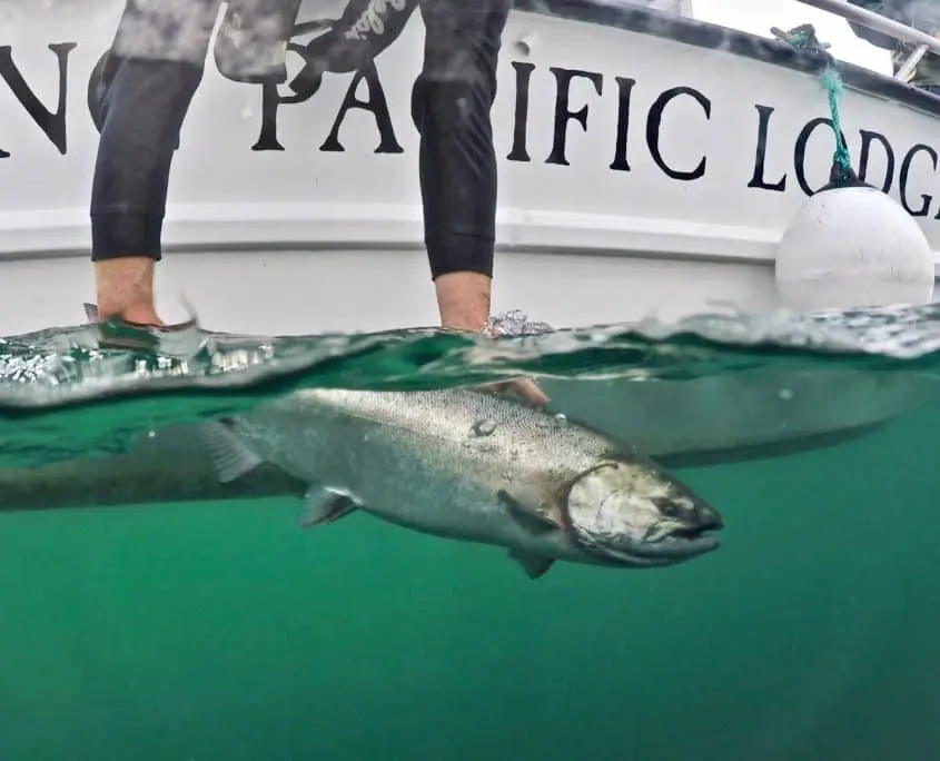 King Pacific Lodge
