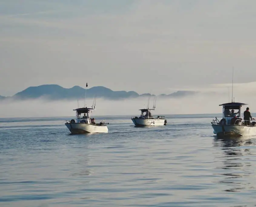 King Pacific Lodge