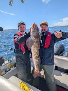 Tasty Ling Cod 