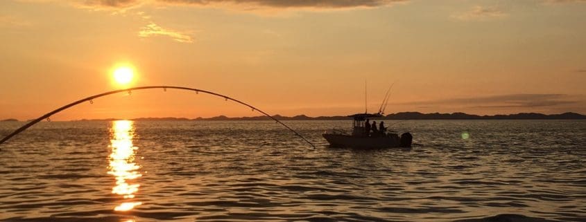 Sunset Fishing Trips